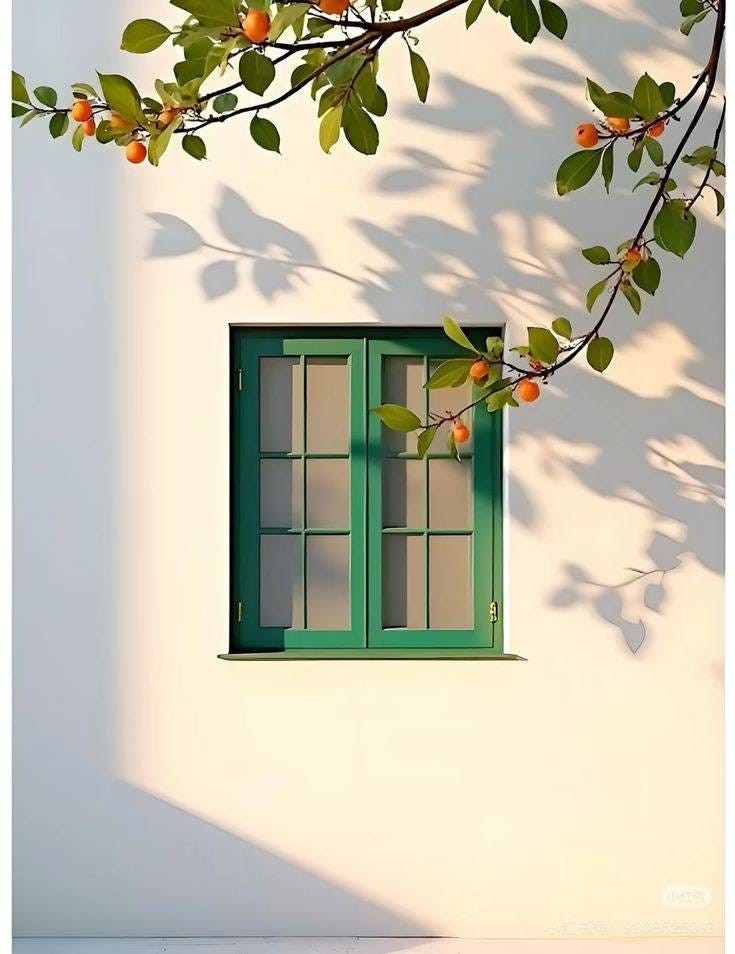 No photo description available. No photo description available.