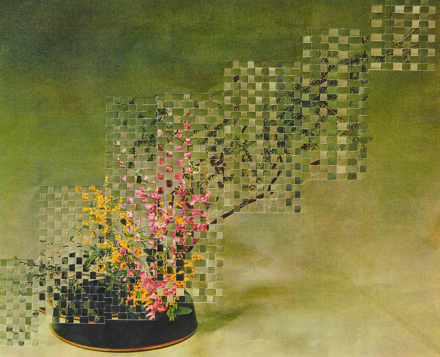 23_cut-flowers_collage_mia-forrest.jpg 23_cut-flowers_collage_mia-forrest.jpg