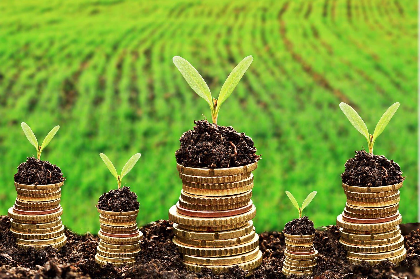 Bridging the green investment gap in Latin America: what role for national  development finance institutions? - Development Matters