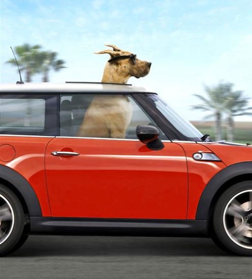 Marmaduke