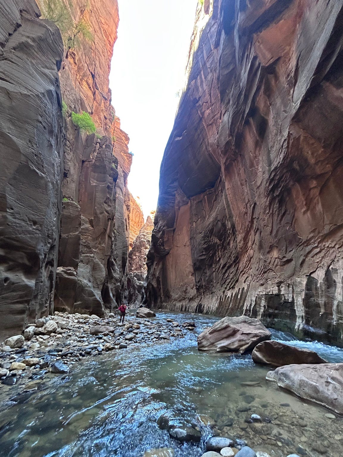 Towering canyon walls closely frame the Narrows at Zion National Park, providing hikers with shade, shelter from the intense sun, and a channel for cool breezes.