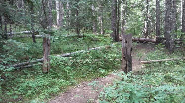 Old School Posts Old School Posts