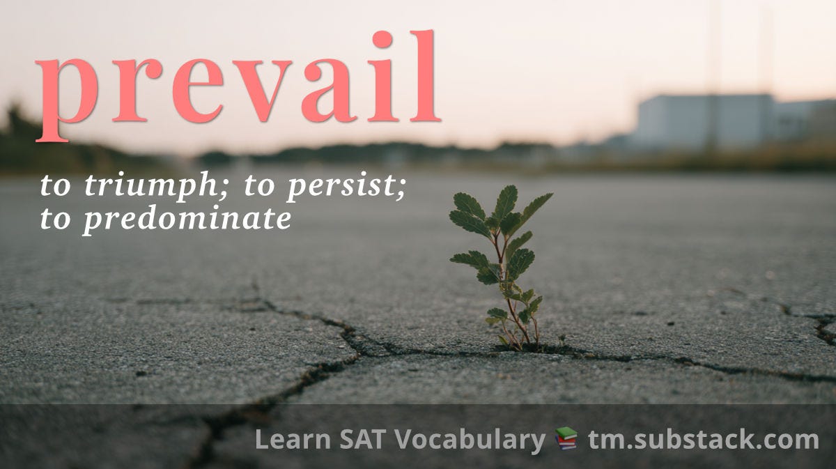 prevail — to triumph or persist (verb). A small plant pushes up through cracked asphalt, overcoming resistance and continuing to grow. prevail — to triumph or persist (verb). A small plant pushes up through cracked asphalt, overcoming resistance and continuing to grow.