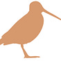 Brian Robinson, C Woodcock&Co's avatar