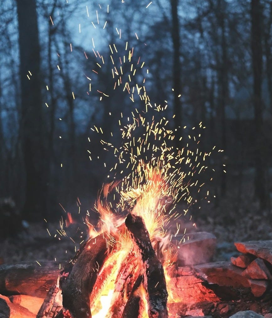 bonfire on forest