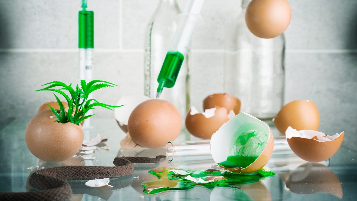 karenkingston.substack.com