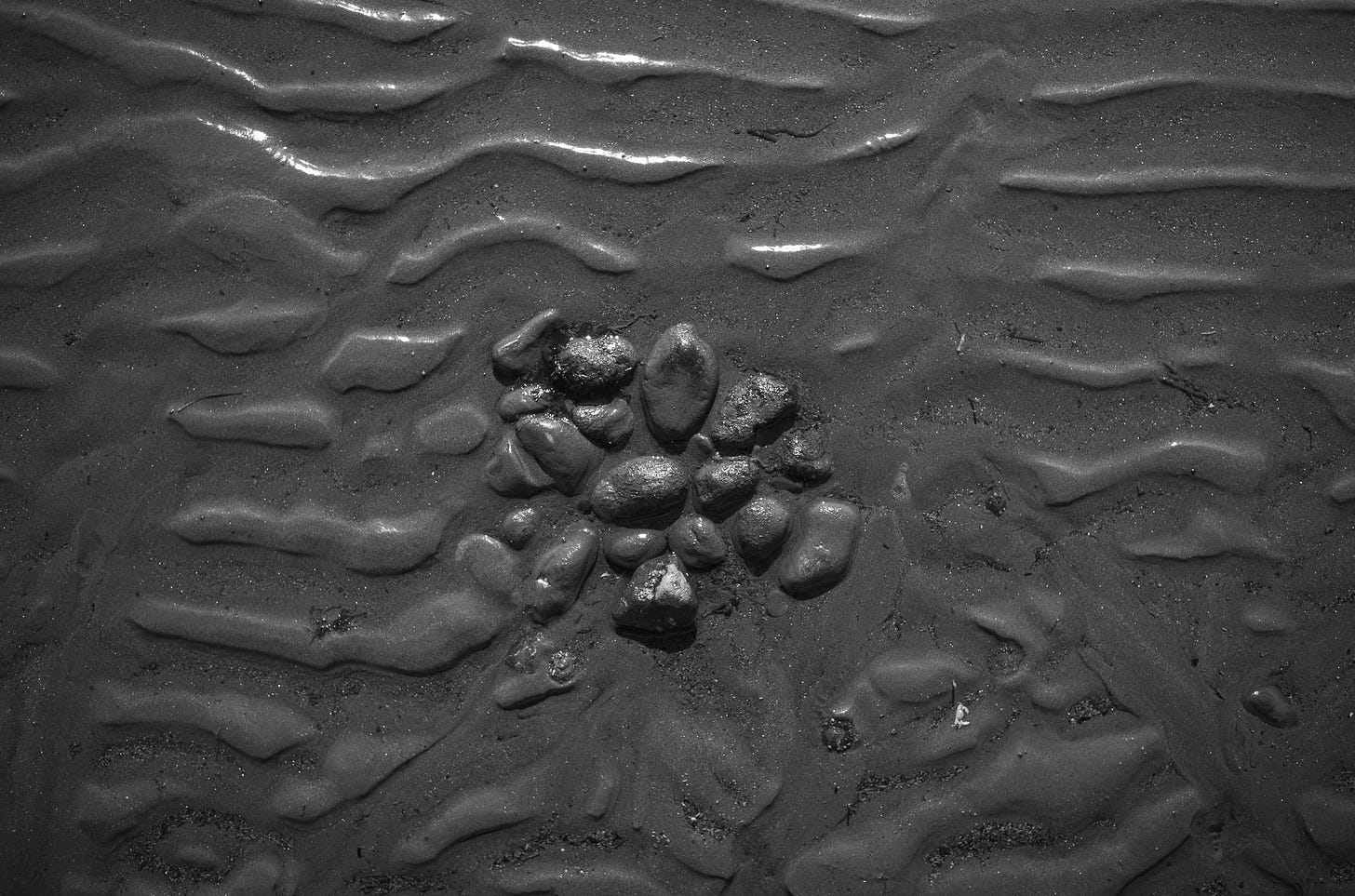 Overhead photo of pebbles embedded in wet sand.