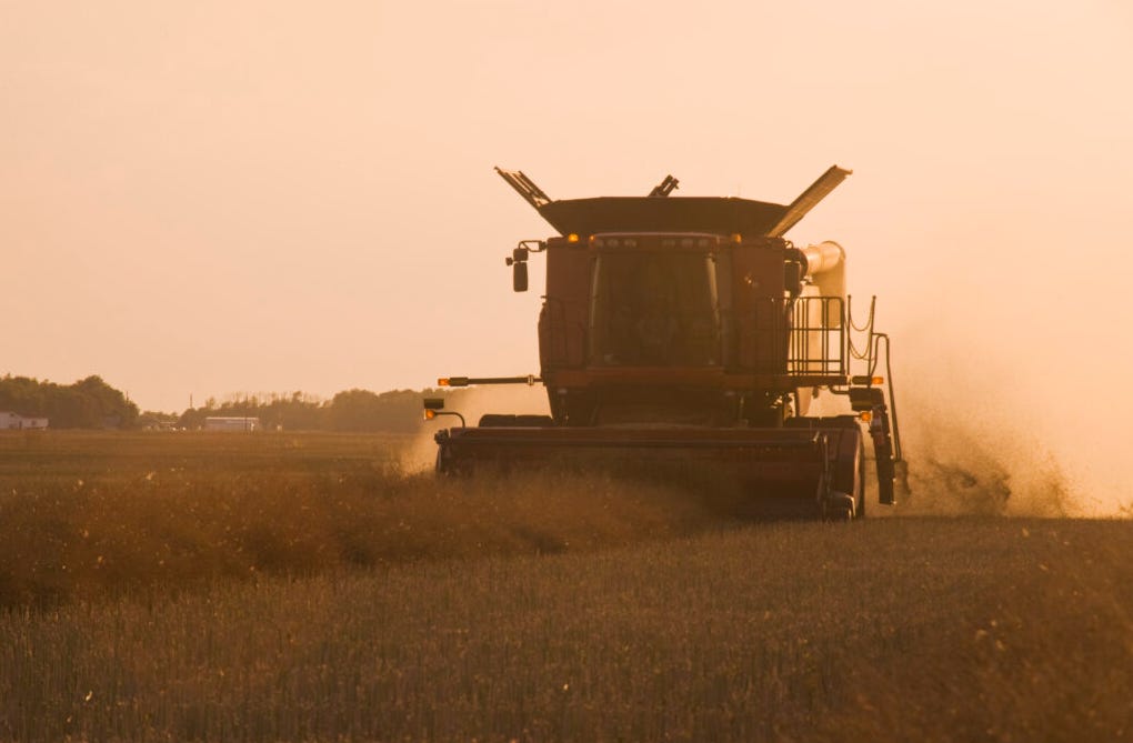 Harvesting canola in Manitoba (Image courtesy Canola Council of Canada). Harvesting canola in Manitoba (Image courtesy Canola Council of Canada).