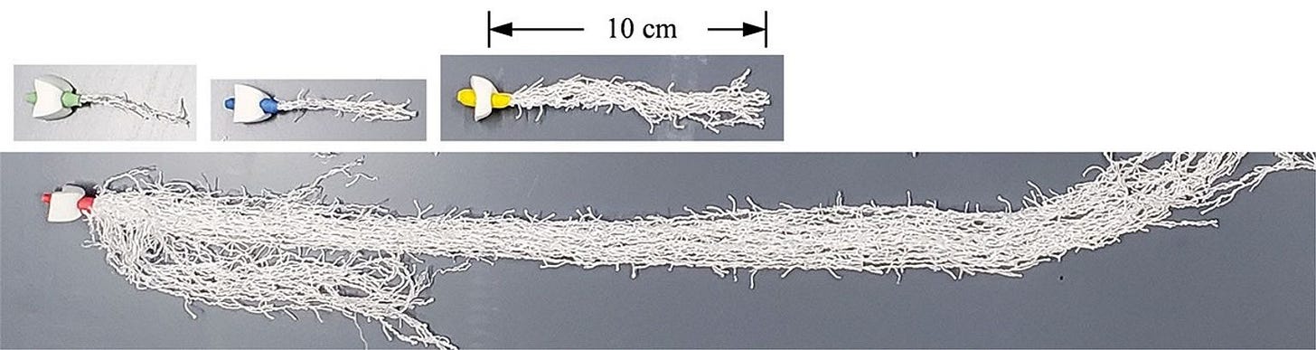 Four different root models, which look like long tangles of white thread with varying lengths. Each one is attached to a different coloured model stem. Four different root models, which look like long tangles of white thread with varying lengths. Each one is attached to a different coloured model stem.