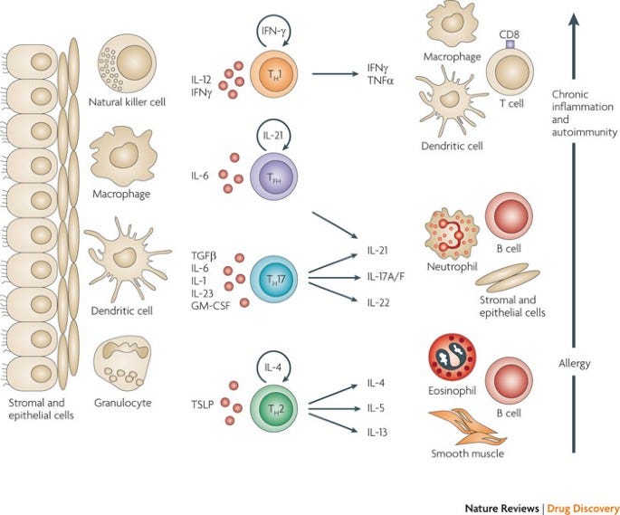 Averting inflammation by targeting the cytokine environment | Nature  Reviews Drug Discovery