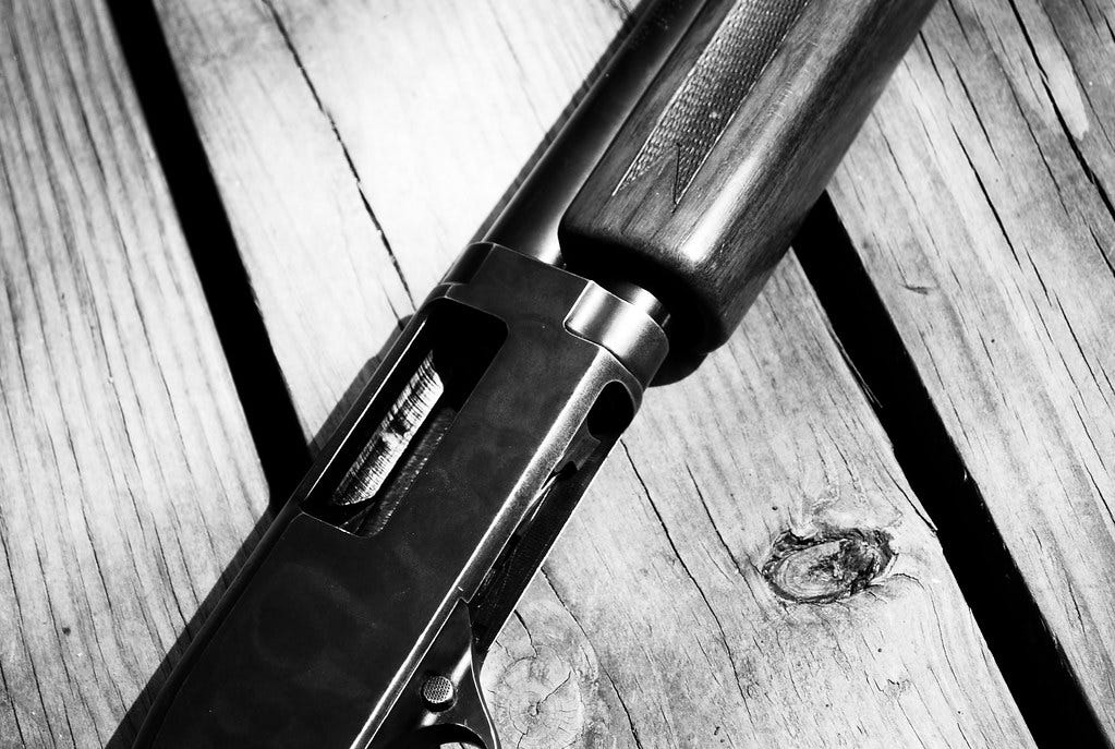 shotgun shotgun