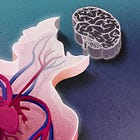 Brain Dead People May Not Be Dead–Here’s Why