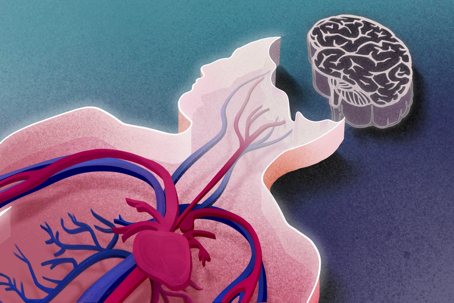 Brain Dead People May Not Be DeadâHereâs Why