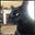 Poofbunny….Are you angry yet?'s avatar