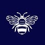 VB HIVE's avatar