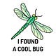I Found a Cool Bug