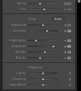 How to Boost Autumn Colors in Lightroom