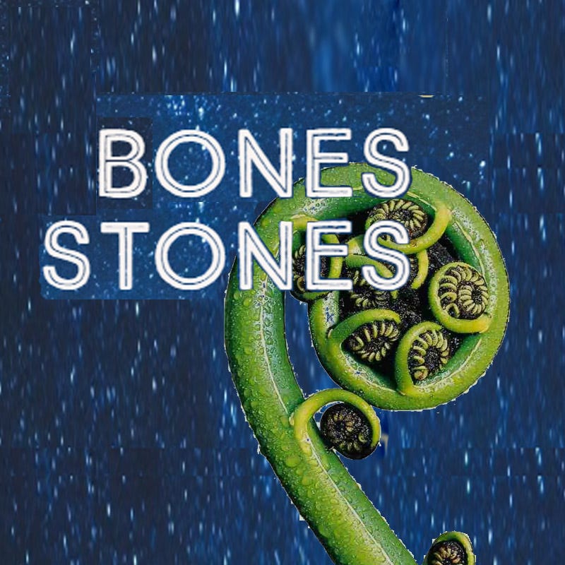 Bones & Stones