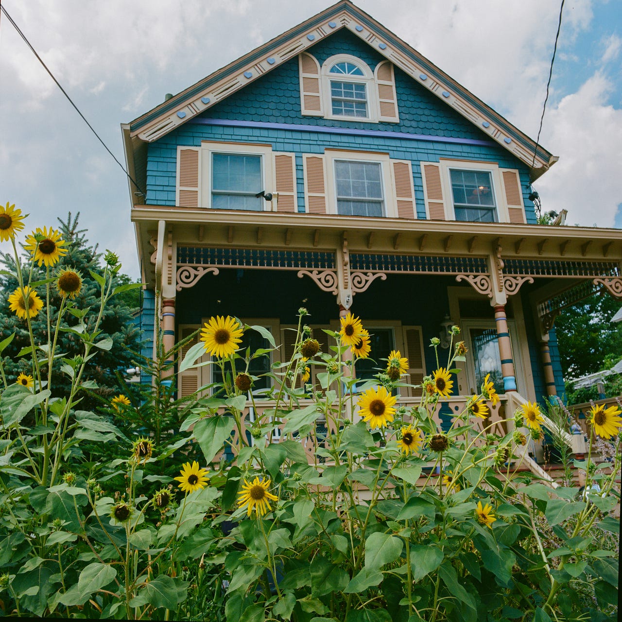 moody daze (dw.88.last)