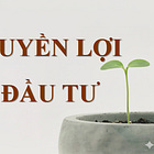 Những quyền nhà đầu tư nên biết - Phần 2: Quyền nhận cổ tức bằng cổ phiếu