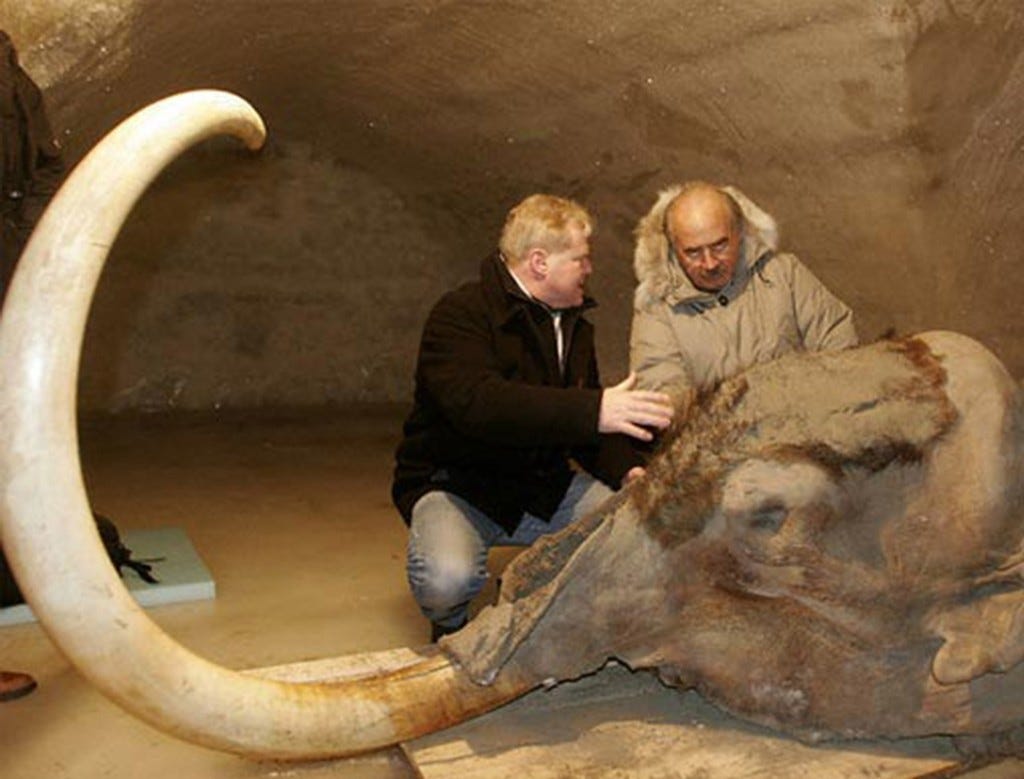 0709_fea_sci-mammoth-gene_l-1024x779