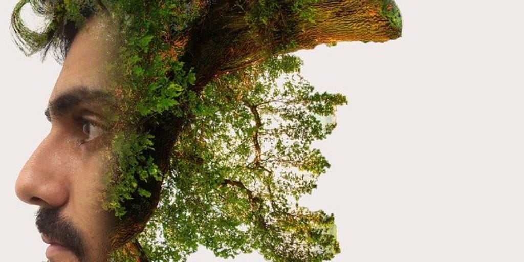 bekirtayfuntokucu Pixabay bekirtayfuntokucu Pixabay