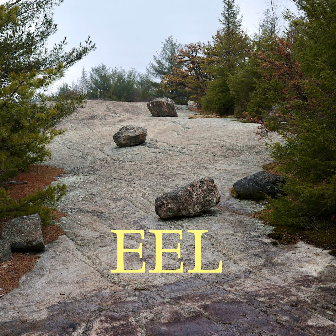 Evolution, Ecology, and the Landscape