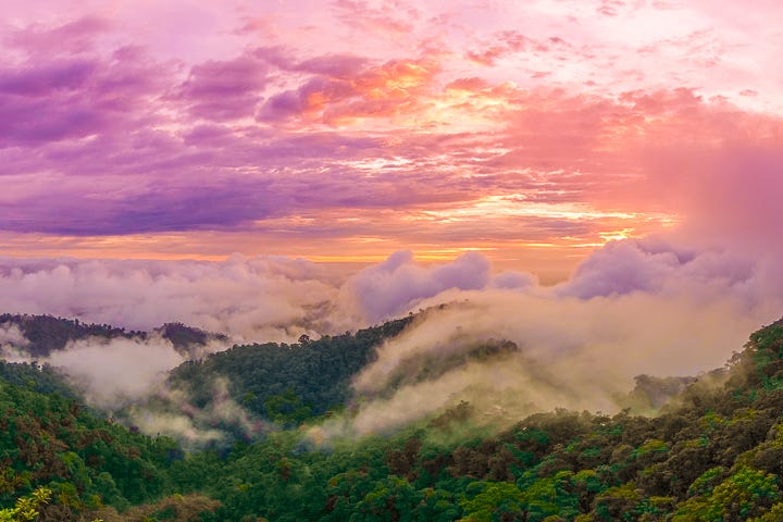 Mashpi Lodge in Ecuador is a bird watcher’s paradise!! Come see the colorful toucans, hummingbirds, and all kinds of exotic birds in the cloud forest of Ecuador. Mashpi Lodge in Ecuador is a bird watcher’s paradise!! Come see the colorful toucans, hummingbirds, and all kinds of exotic birds in the cloud forest of Ecuador.