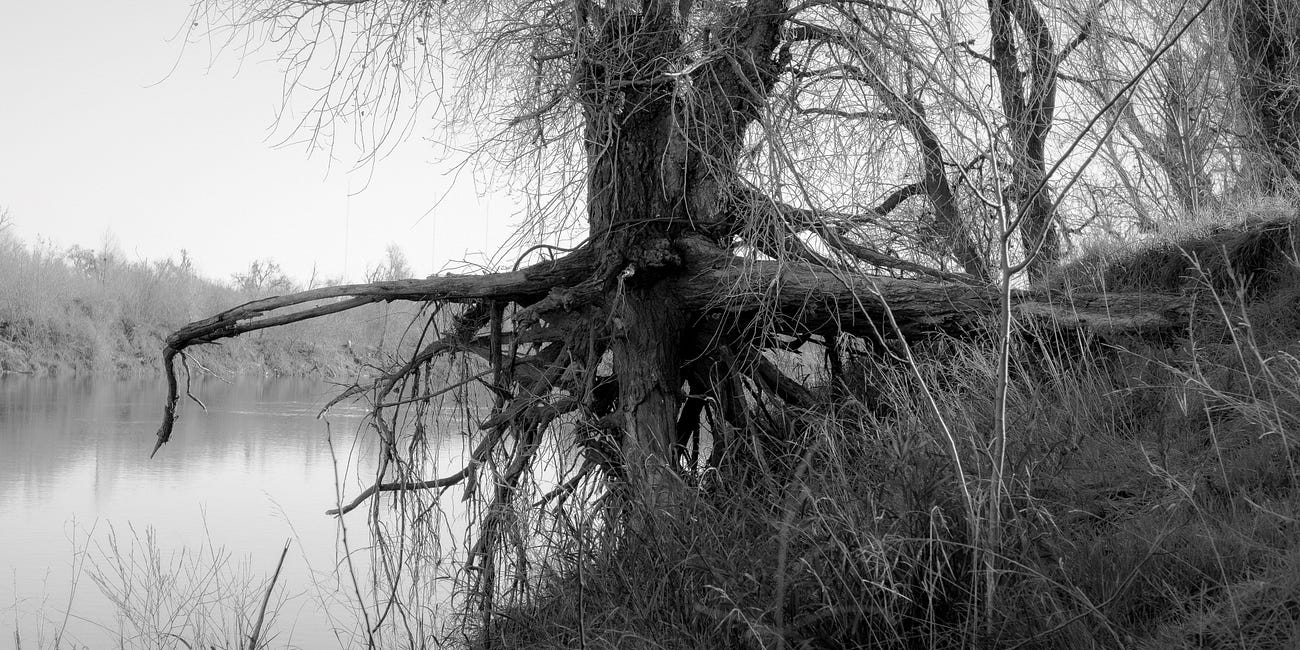 Remains of a River
