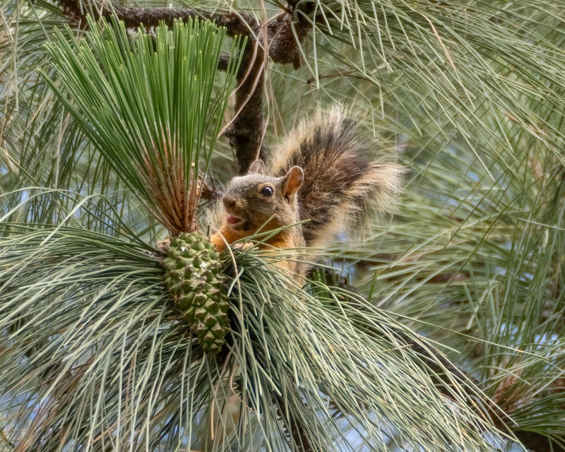 20240623-AZYBC-153-Edit.jpg 20240623-AZYBC-153-Edit.jpg