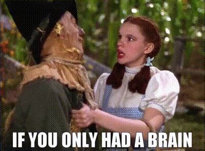 YARN | If you only had a brain | The Wizard of Oz | Video clips by ...