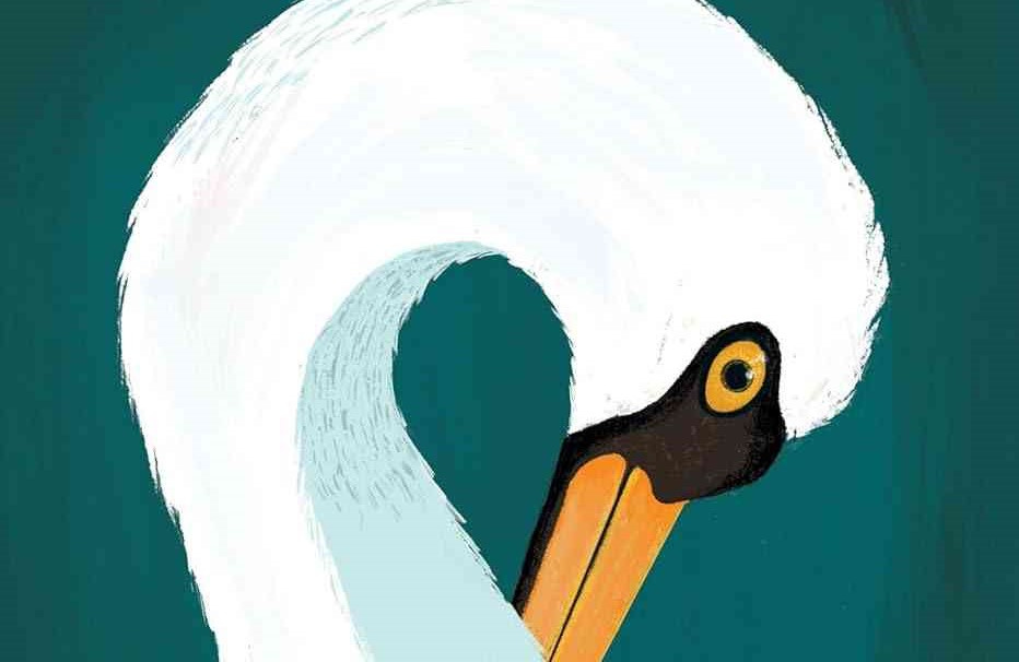 Farbige Zeichnung eines Schwans, der seinen Kopf auf den Hals legt und Betrachter*innen anschaut. Teil des Buchcovers (englische Ausgabe) von: „Mein kleines Prachttier“ von Marieke Lucas Rijneveld. (Bild: Faber & Faber)
