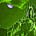 abolish the green room's avatar