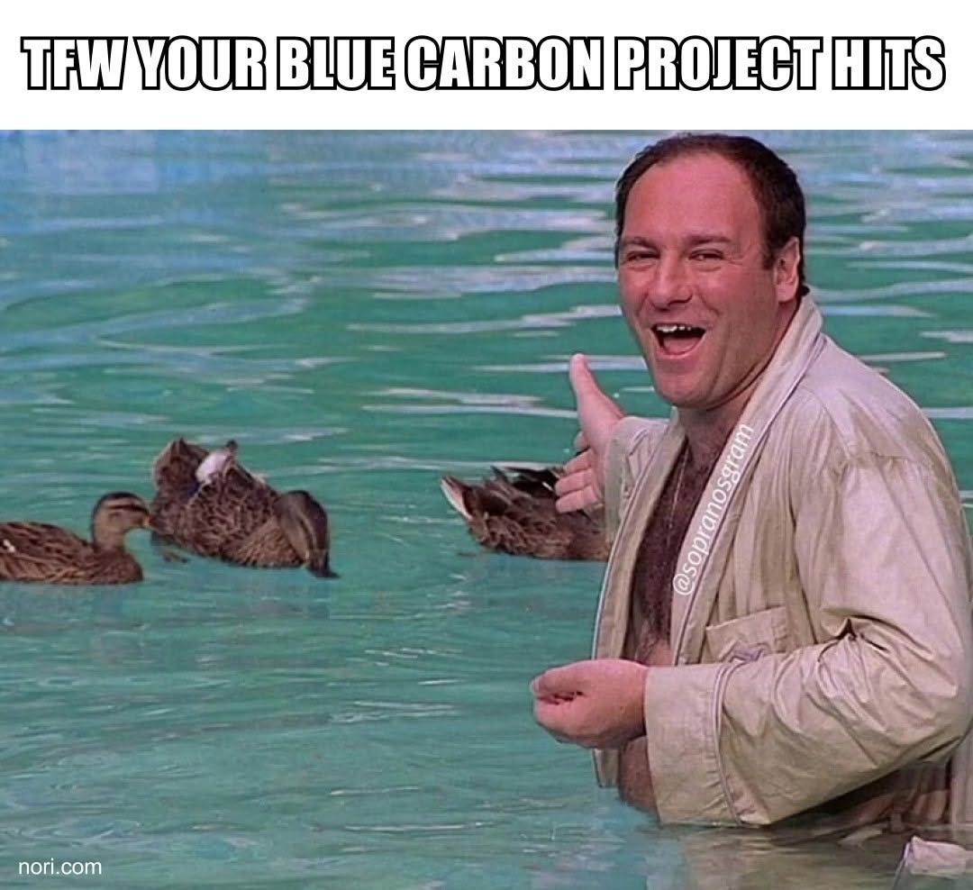 Text: "TFW your blue carbon project hits." Below, Tony Soprano in a bathrobe standing waist-deep in his pool, grinning and gesturing at a family of ducks.