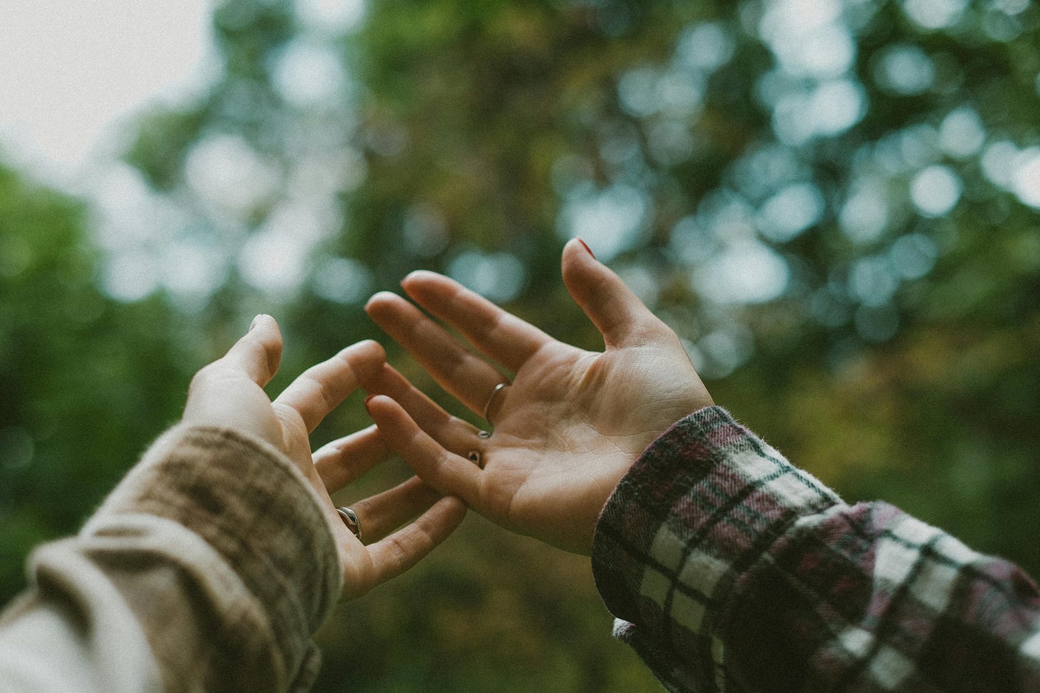 two white hands with blurry nature background