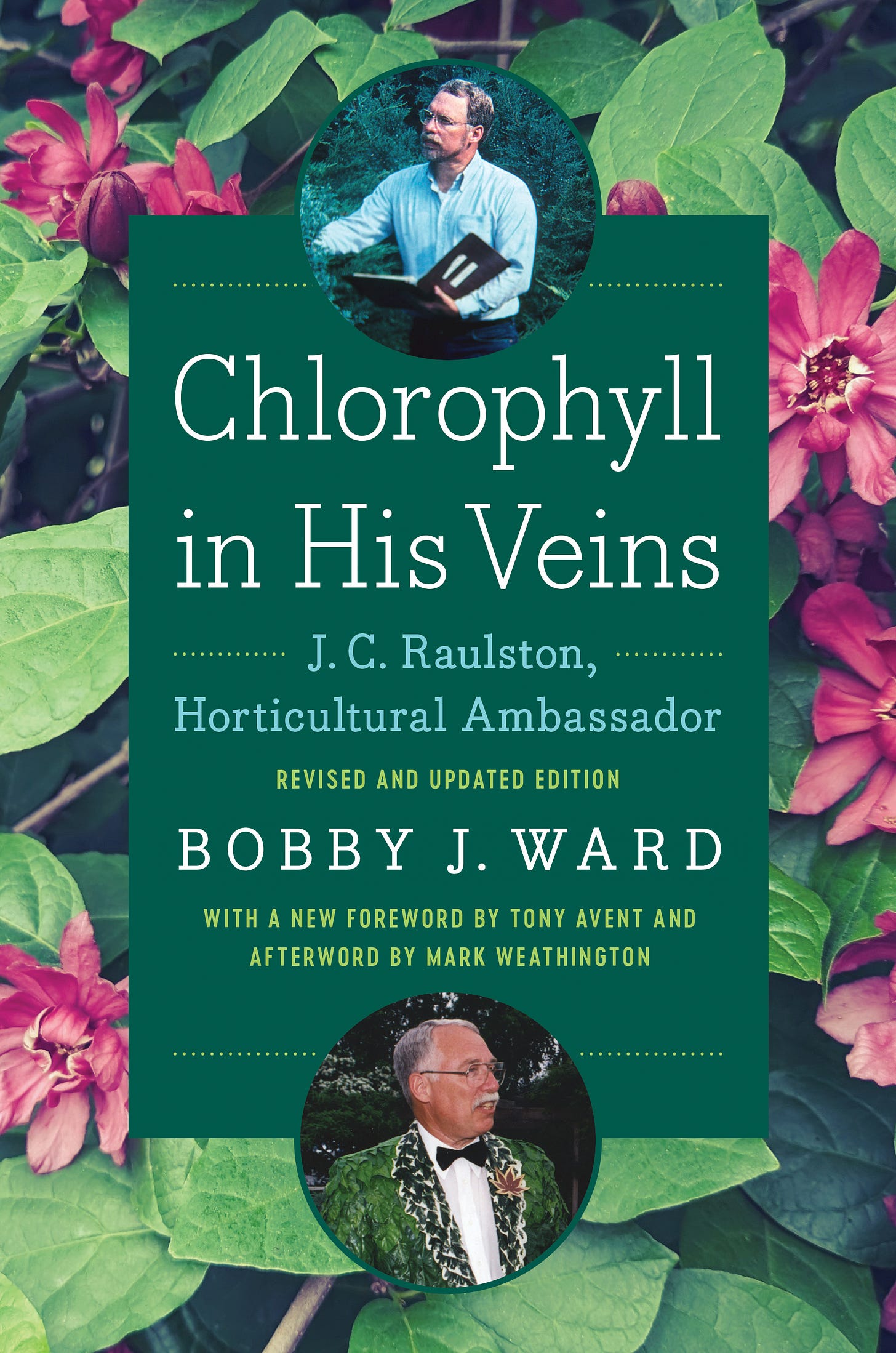Cover of Chlorophyll in His Veins: J.C. Raulston Horticultural Ambassador by Bobby J. Ward 