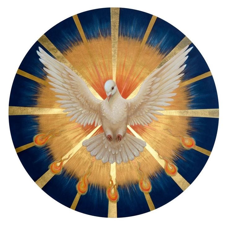 This may contain: a white dove flying through the air with its wings spread out in front of an orange and blue background