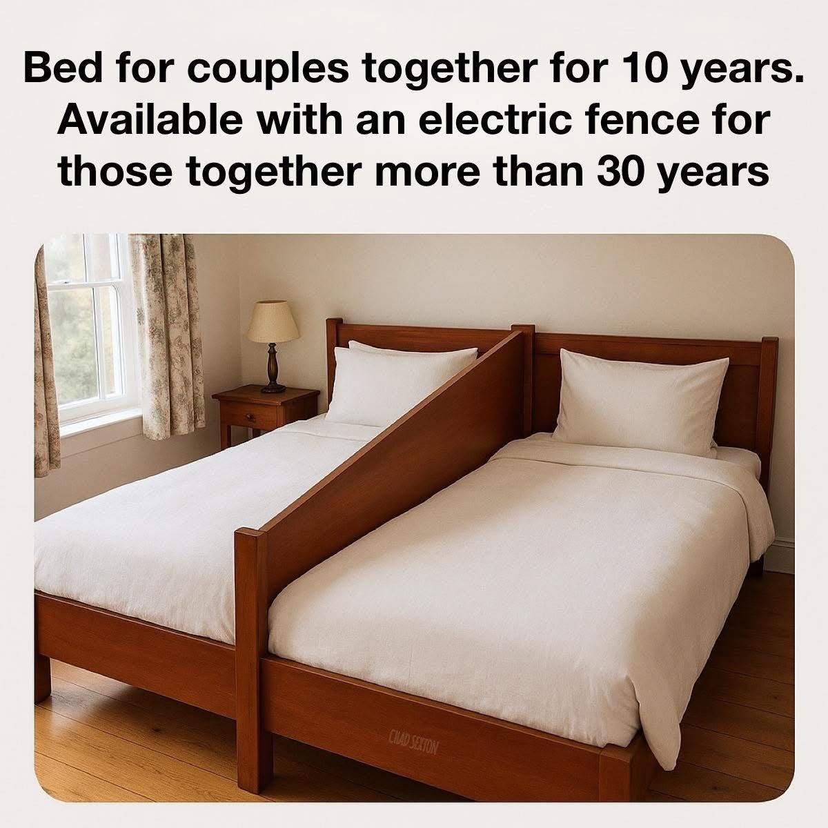 A joke meme showing a bed for married couples with a divider in between