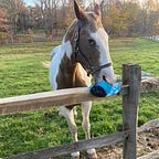 The Centaur by Camron Adibi