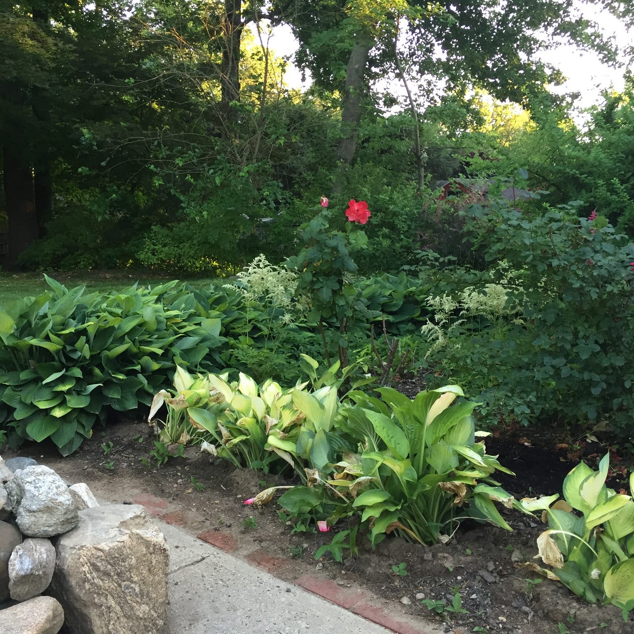 Reflections From The Garden Bench