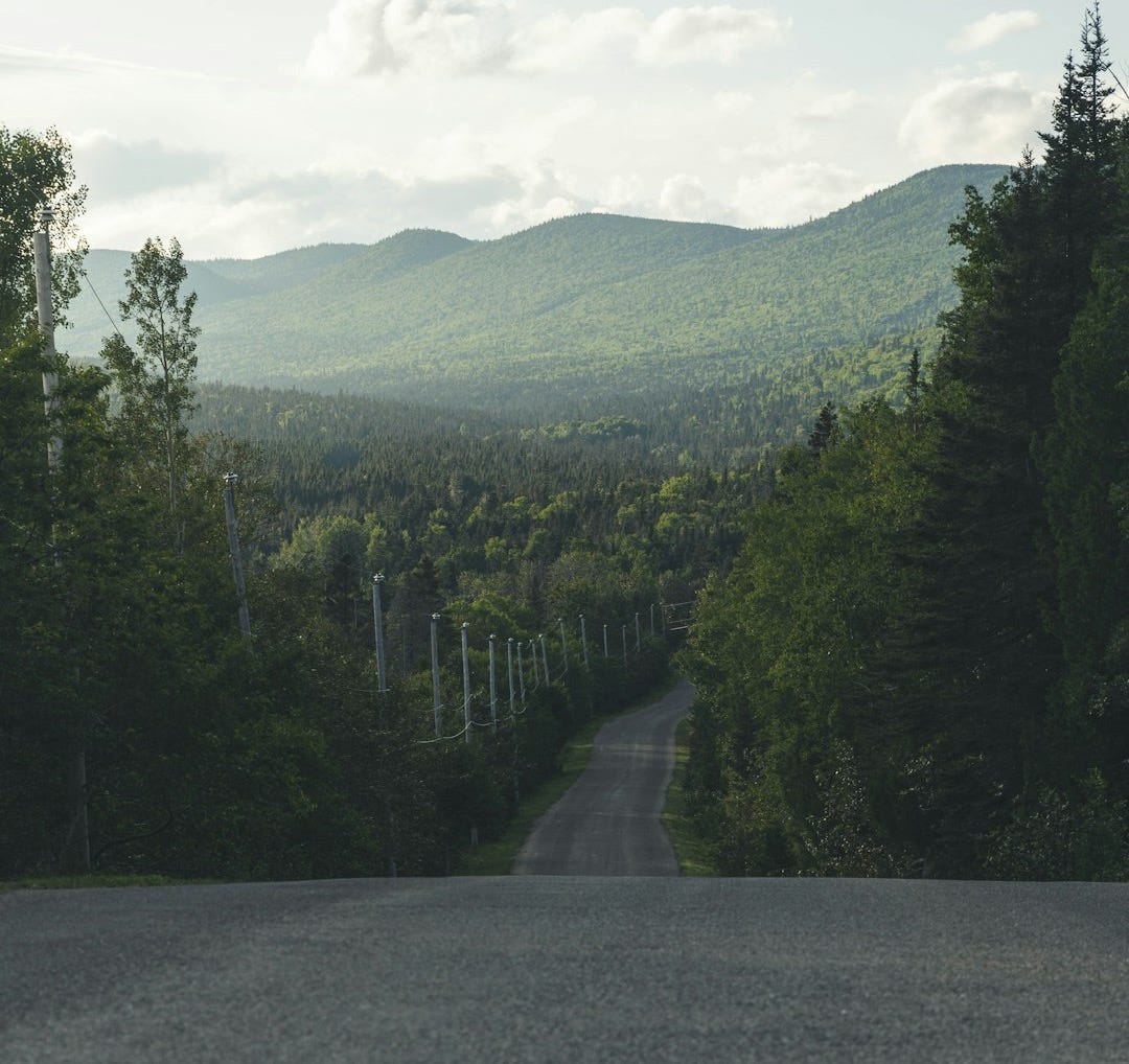 gray concrete road between green trees under white clouds during daytime gray concrete road between green trees under white clouds during daytime
