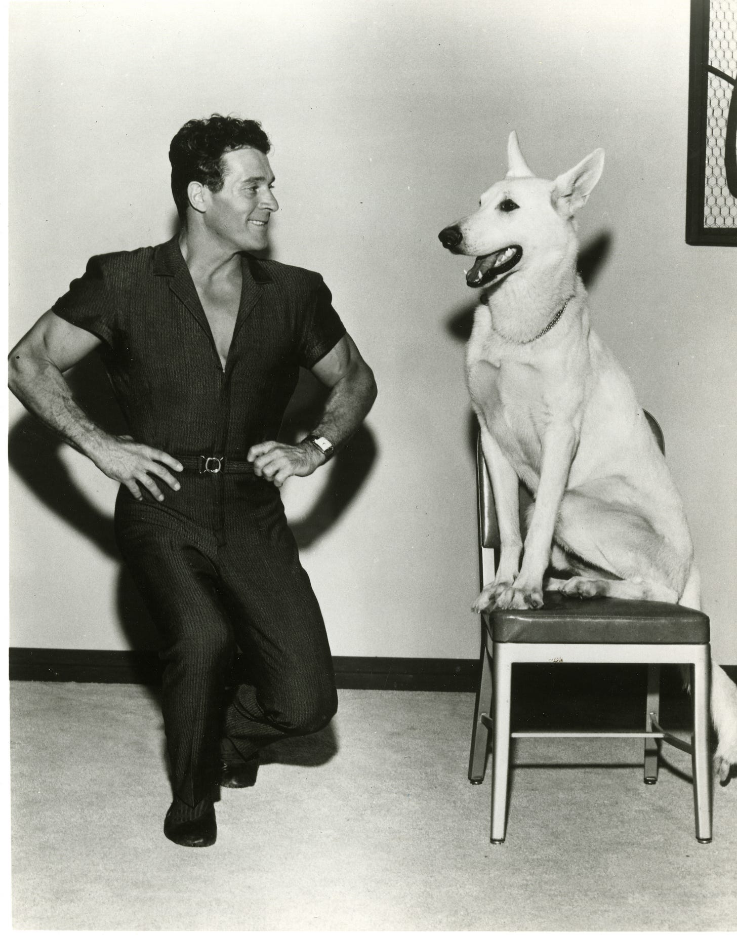Jack Lalanne's Dog Happy Factory Sale, 52% OFF | udruzenjeladjara.com