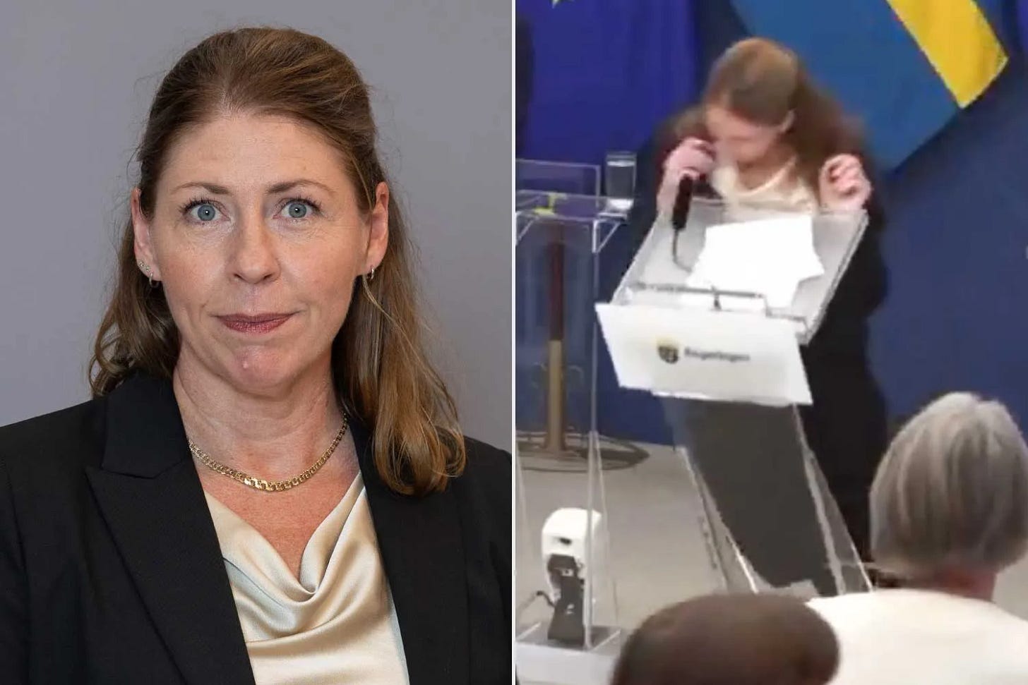 Elisabet Lann, Sweden's Health Minister Collapses on Live TV