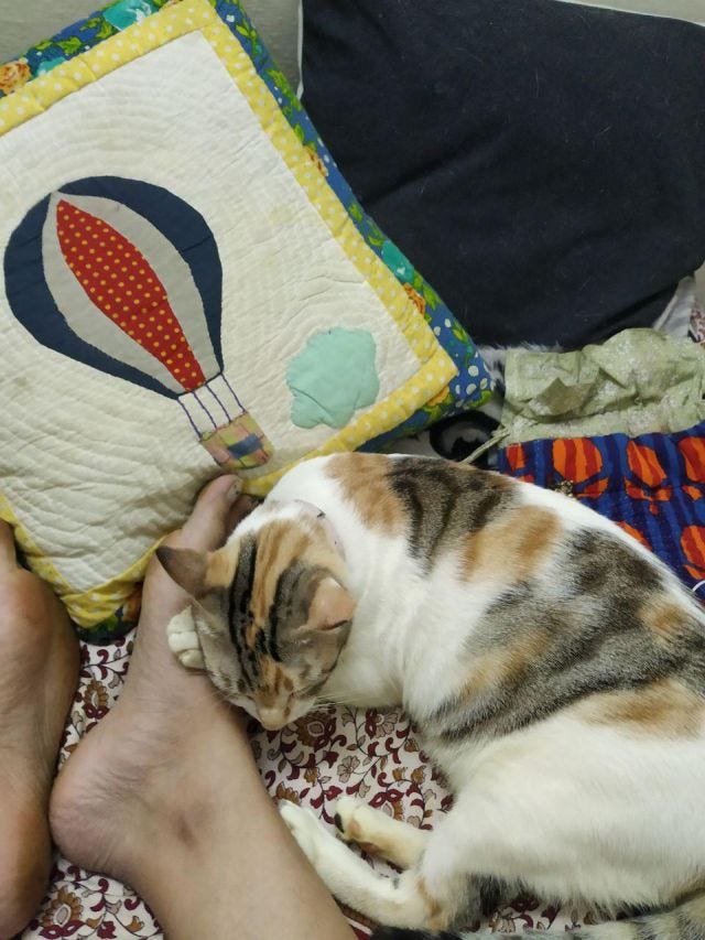 A cat sleeping against a foot with a pillow in the background with an air balloon on it.
