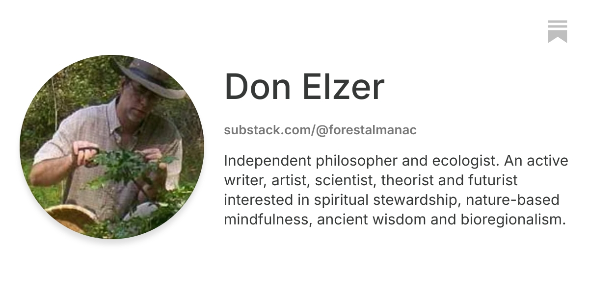 Don Elzer | Substack