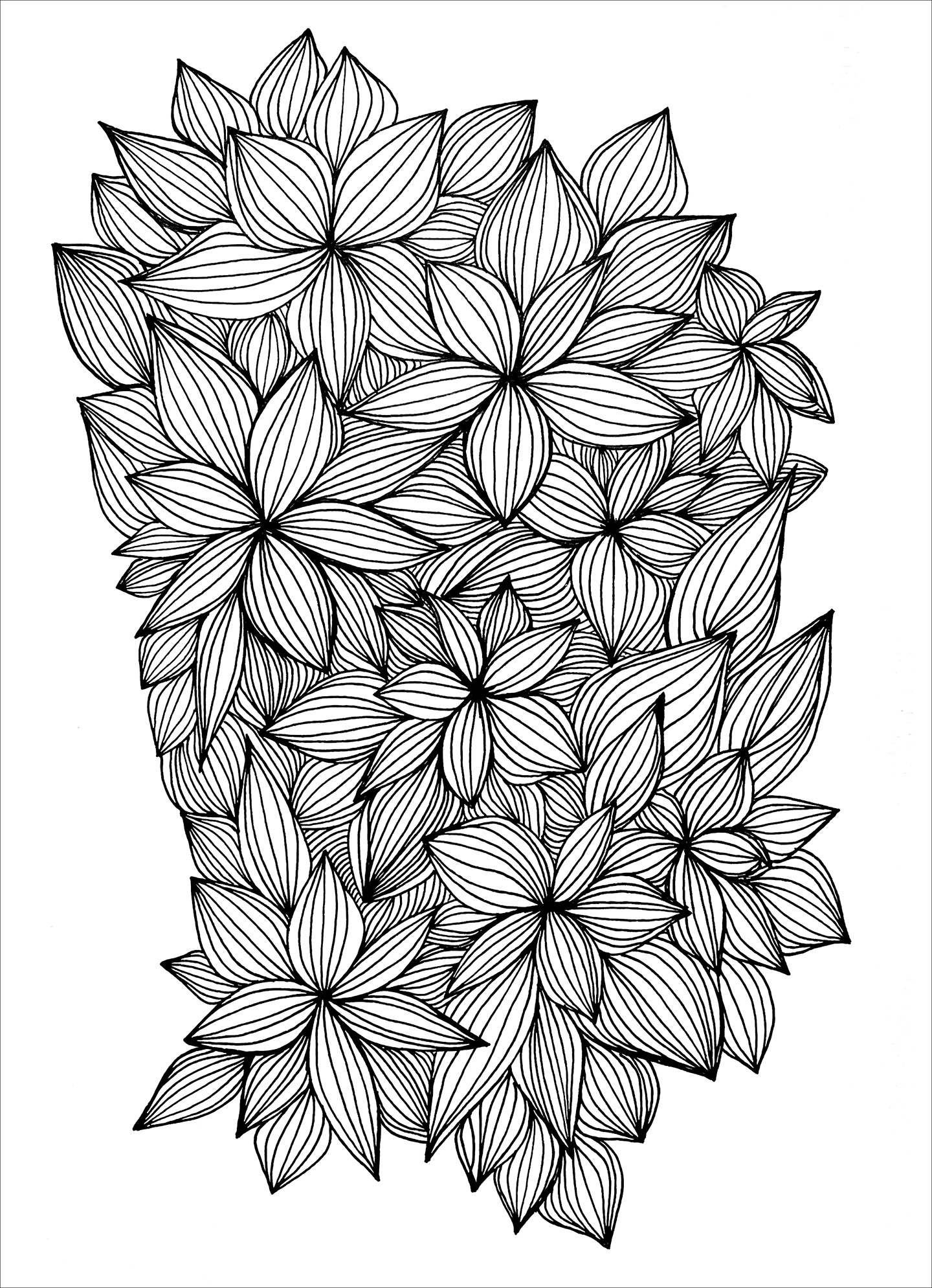 Black line drawing on white paper of flower like shapes intertwined with each other
