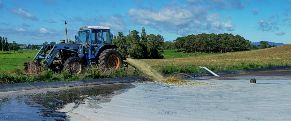 A Refinery in the Manure Lagoon
