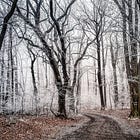 REST can sometimes feel dangerous 