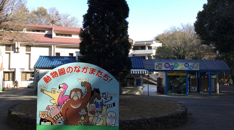 Ichikawa City Zoo (2026) - All You MUST Know Before You Go (with Reviews & Photos) Ichikawa City Zoo (2026) - All You MUST Know Before You Go (with Reviews & Photos)