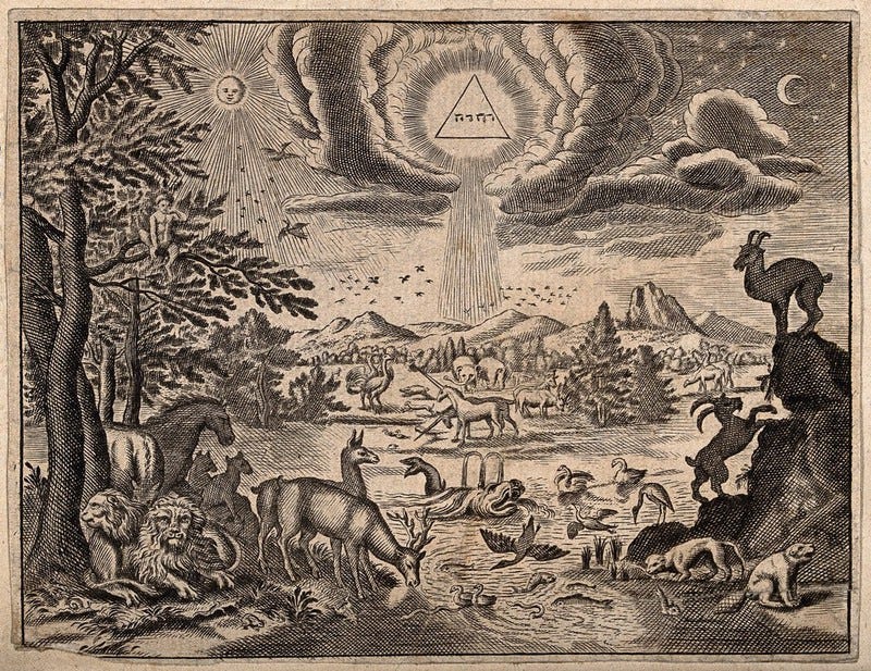 God, as a triangle representing the Trinity, pours light upon the Garden of  Eden. Engraving. | Wellcome Collection